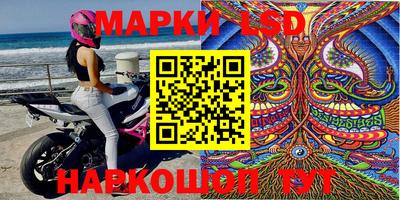 гидра Гатчина