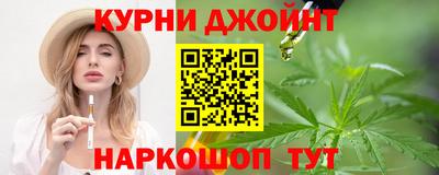 гидра Гатчина