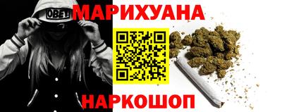 гидра Гатчина