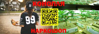 COCAINE Гай