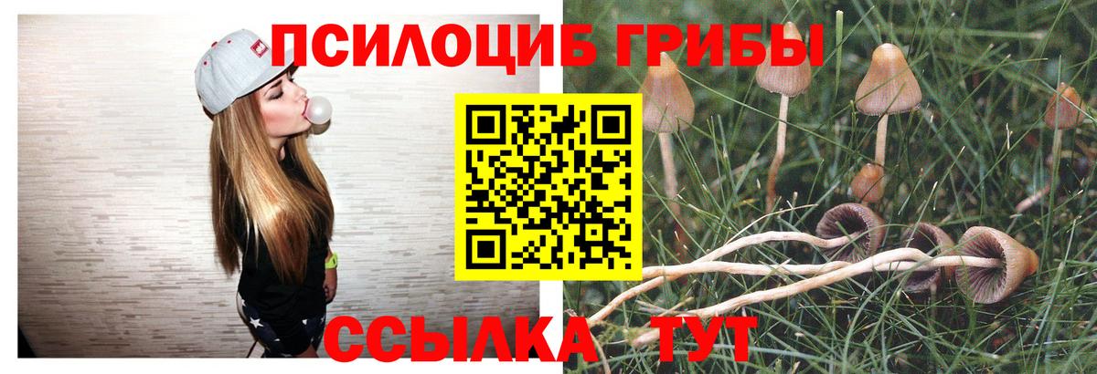 Галлюциногенные грибы Magic Shrooms Богородицк