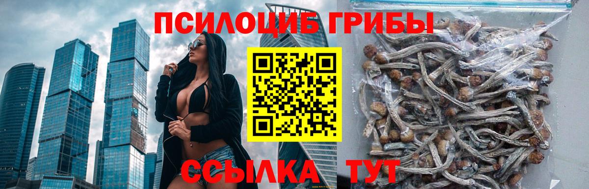 Богородицк  Псилоцибиновые грибы Magic Shrooms  Вход с VPN 